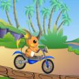 Pokemon Bike Adventure
